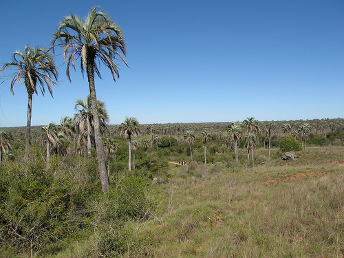 El Palmar National Park